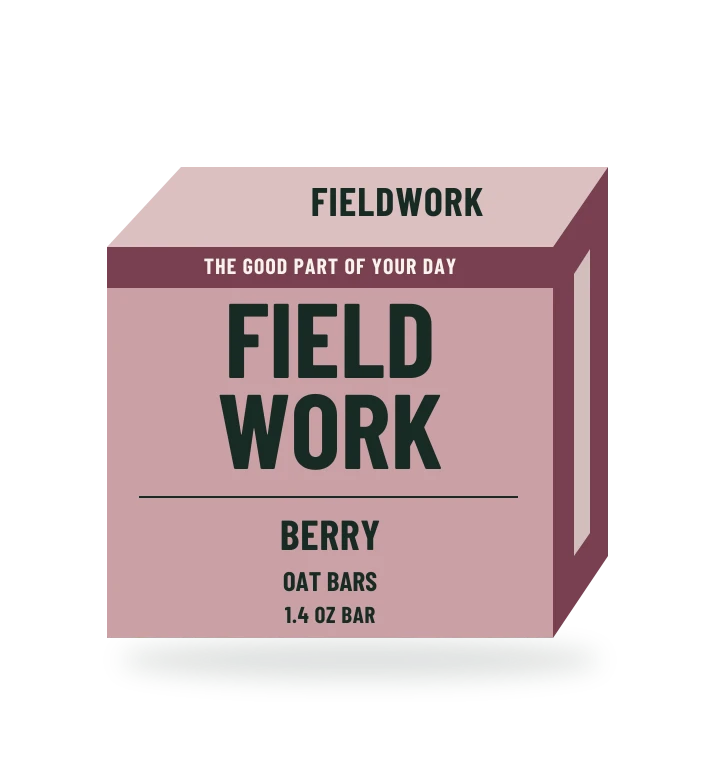 Original fictional FIELDWORK Berry Oat Bars packaging illustration for the COUNTERPART wholesale demo